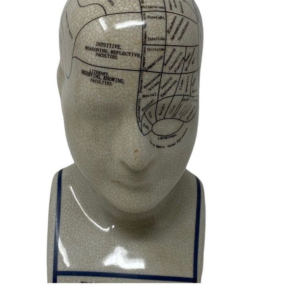 Freshnewlooks Phrenology Head L.N fowler porcelain Ceramic  Phrenology Head‎ 9\
